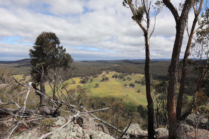 Rural property image 1