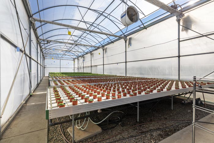 Rural property image 3